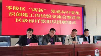 雅大榮獲“零陵區(qū)兩新黨建標桿黨組織”稱號