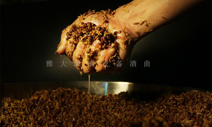 小麥和高粱混合發(fā)酵